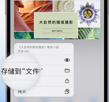 佛坪apple维修中心分享iPhone文件应用中存储和找到下载文件