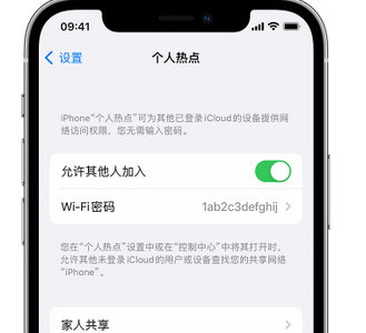 佛坪apple服务站点分享iPhone上个人热点丢失了怎么办 