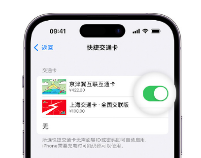 佛坪apple维修点分享iPhone上更换Apple Pay快捷交通卡手绘卡面 