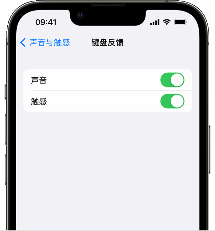 佛坪苹果14维修店分享如何在 iPhone 14 机型中使用触感键盘 