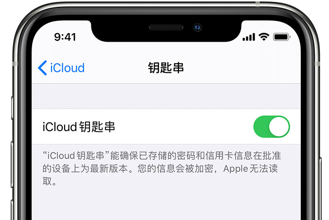 佛坪苹果手机维修分享在 iPhone 上开启 iCloud 钥匙串之后会储存哪些信息 