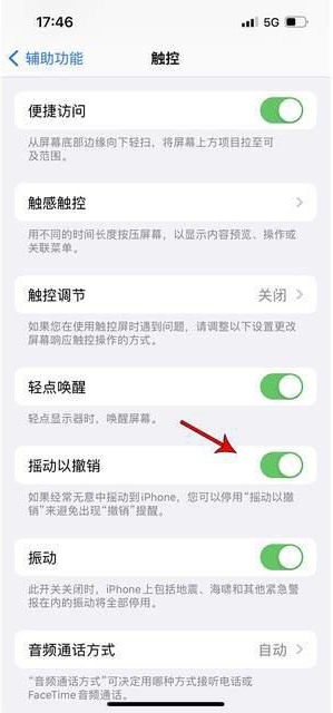 佛坪苹果手机维修分享iPhone手机如何设置摇一摇删除文字 