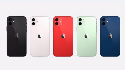 佛坪苹果维修点分享iPhone 12锁屏密码系统机制科普 
