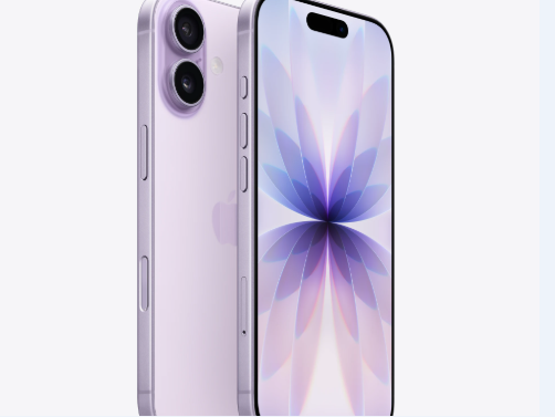 佛坪苹果维修点分享iPhone 17锁屏密码使用参考 